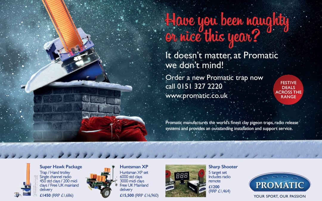 Christmas Advertising for Promatic