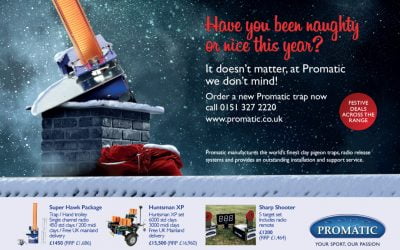 HOME 3 Christmas Advertising for Promatic